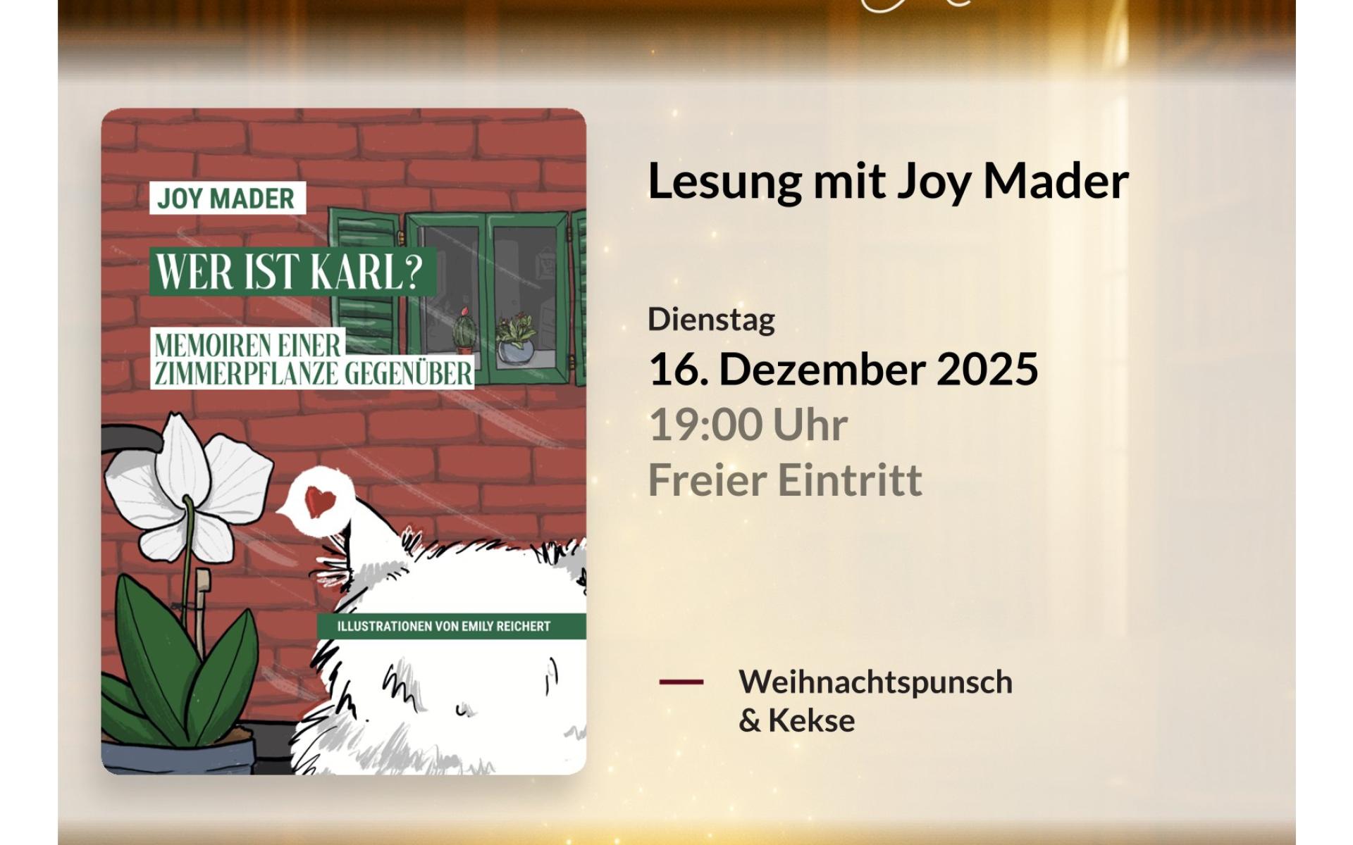 Lesezauber Advent Joy Mader